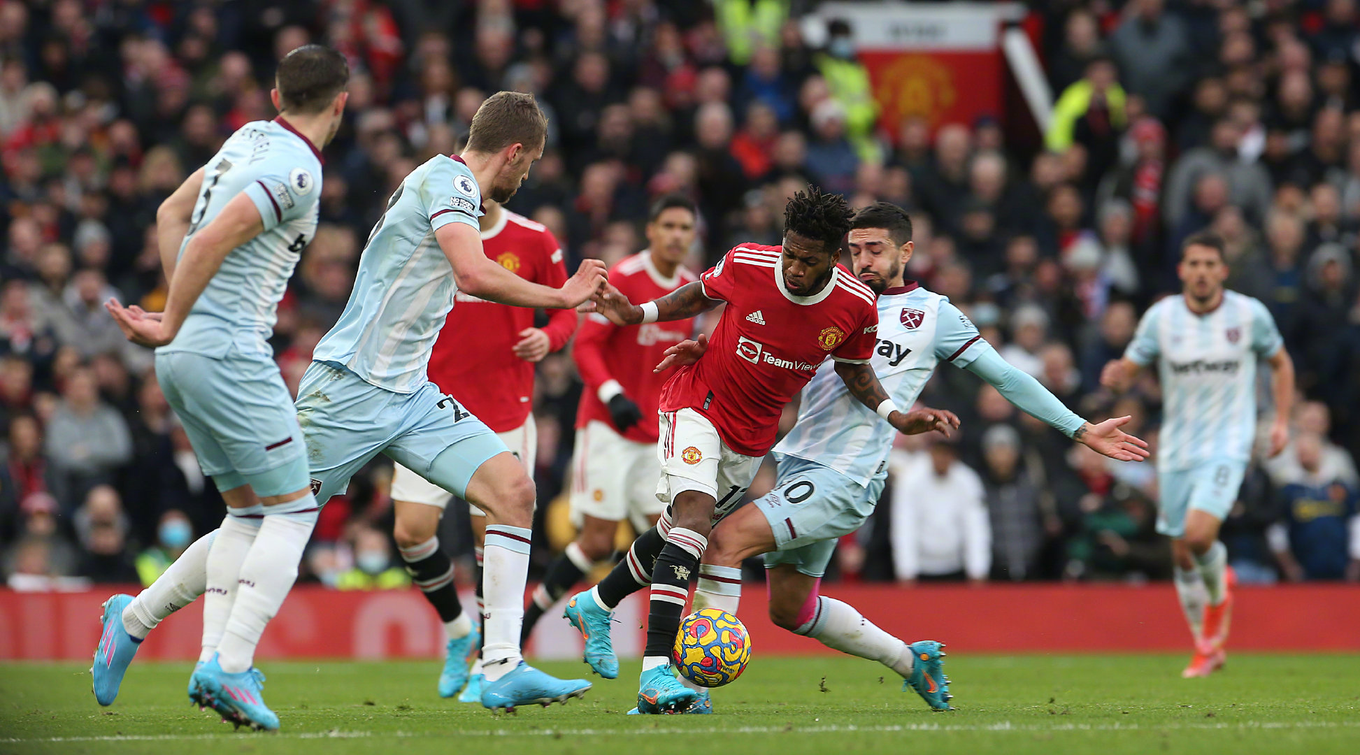 鲜的活力 鲜的活力